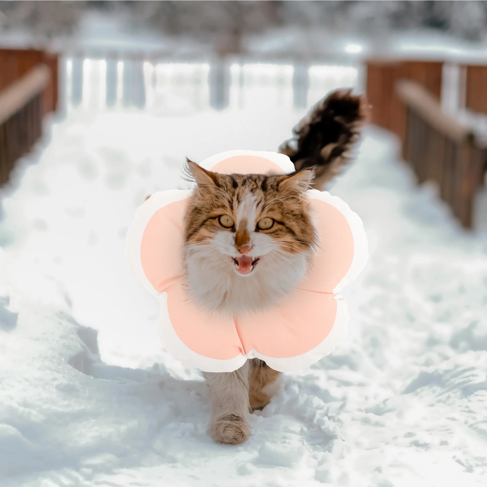 

1Pcs Pet Cat Recovery Collar Durable Soft Lightweight Anti-Lick Collar Protect Licking Biting Scratching Wounds