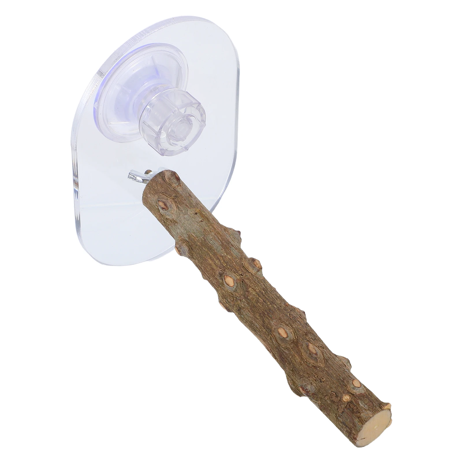 

Parrot Platform Stand Bird Pole Budgie Perches Hamster Platforms Shower Parakeets Vertical