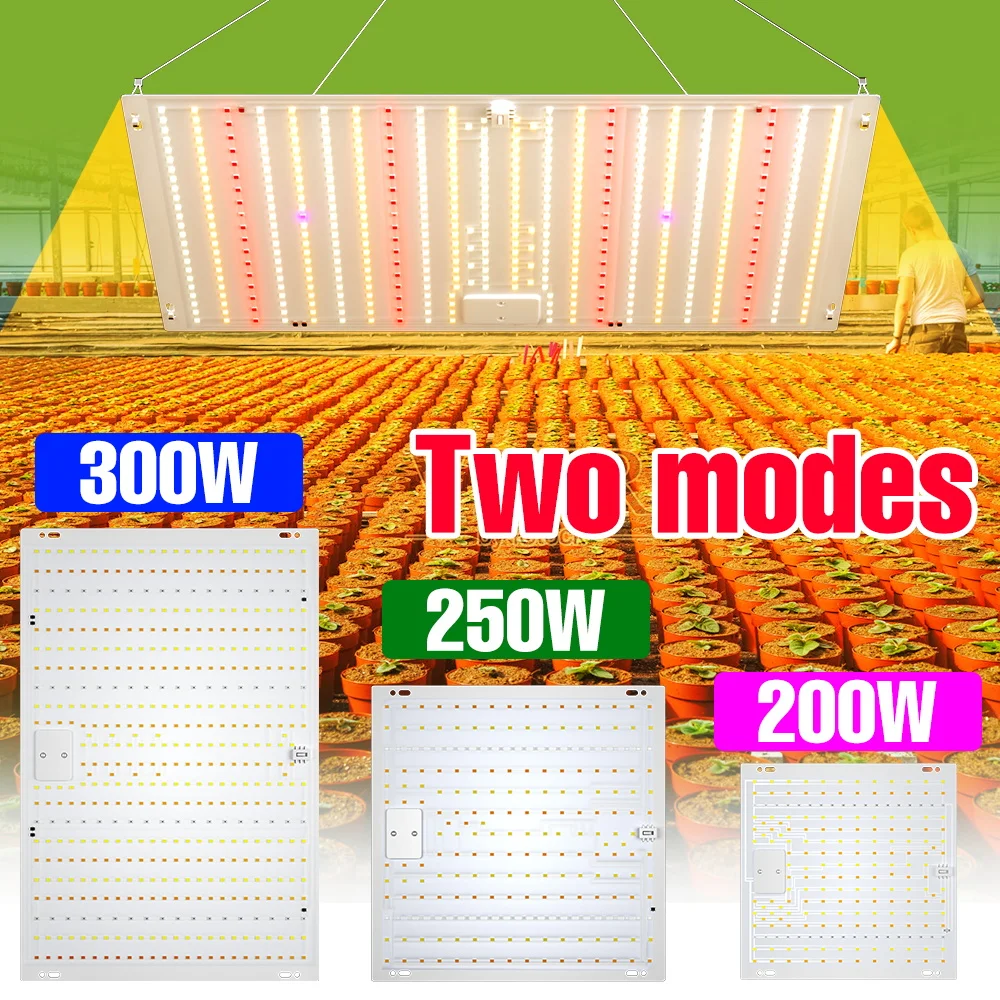 

Светодиодная лампа для растений 300 Вт, полный спектр, для выращивания в помещении, для цветов в горшках, суккулентов, для теплиц и гроубоксов, с вилкой стандарта США/ЕС