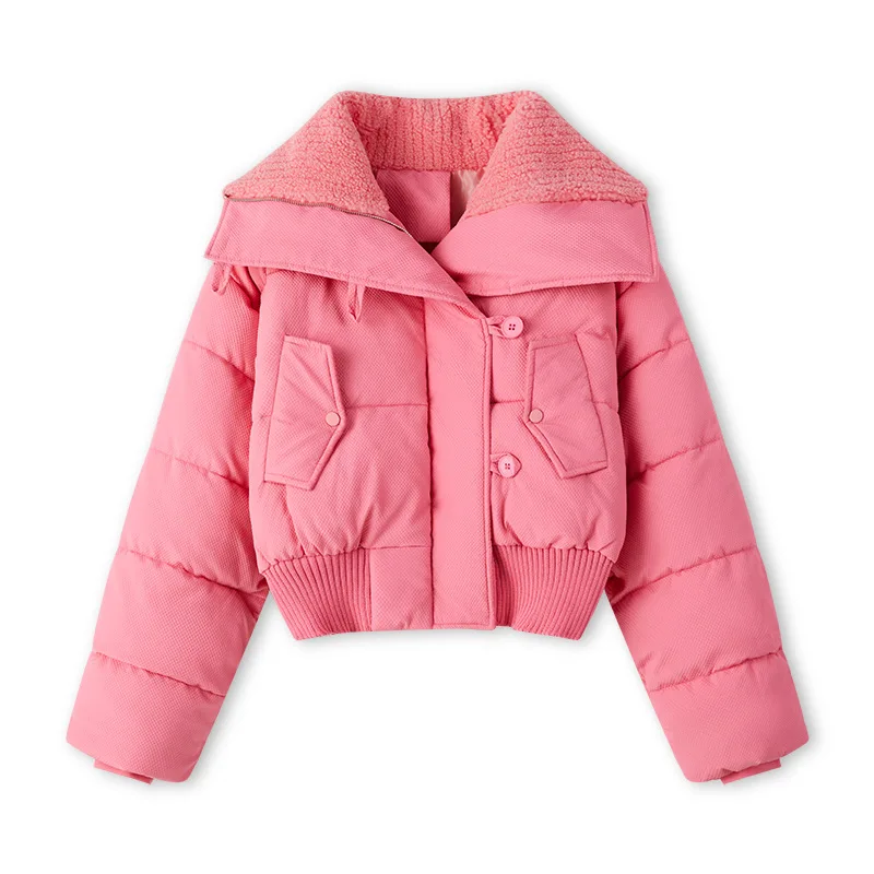 Winter 2025 Short Korean Version Thickened Cotton-padded Jacket Zipper Women's Coat