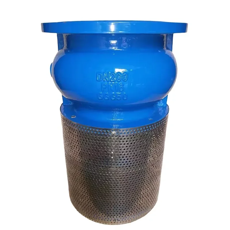 Suction Strainer Foot Check Valve SS304 Screen Ductile Iron Body DN350-DN800 PN16