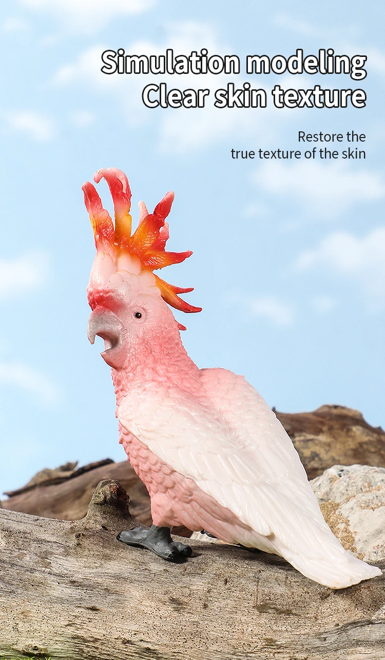 Realistische Vogelfiguren-Set - Papageien-Lernspielzeug für Kinder Simulierte Plastik-Tiermodelle Tierfiguren-Sammlung – Detail 3