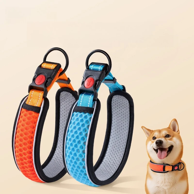 Haustierhalsband, Halsband, Halsset, Hundeleine, Hundekette, Halsband, Hundehalsband