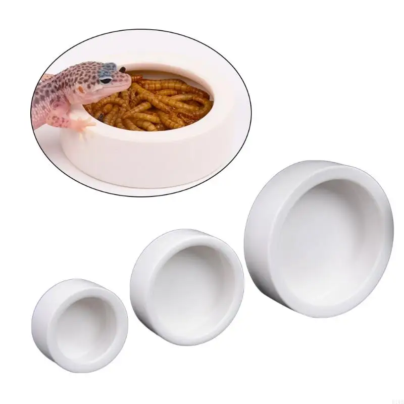 R1WB Anti-DeScape Footer cho ăn thức ăn cho con tắc kè con tắc kè