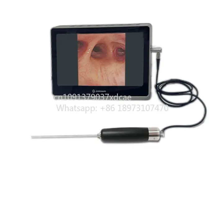 2026 New 2-in-1 HD Endoscope Portable Camera Cold Light Source For Veterinary Nasal Urology Rigid Endoscope