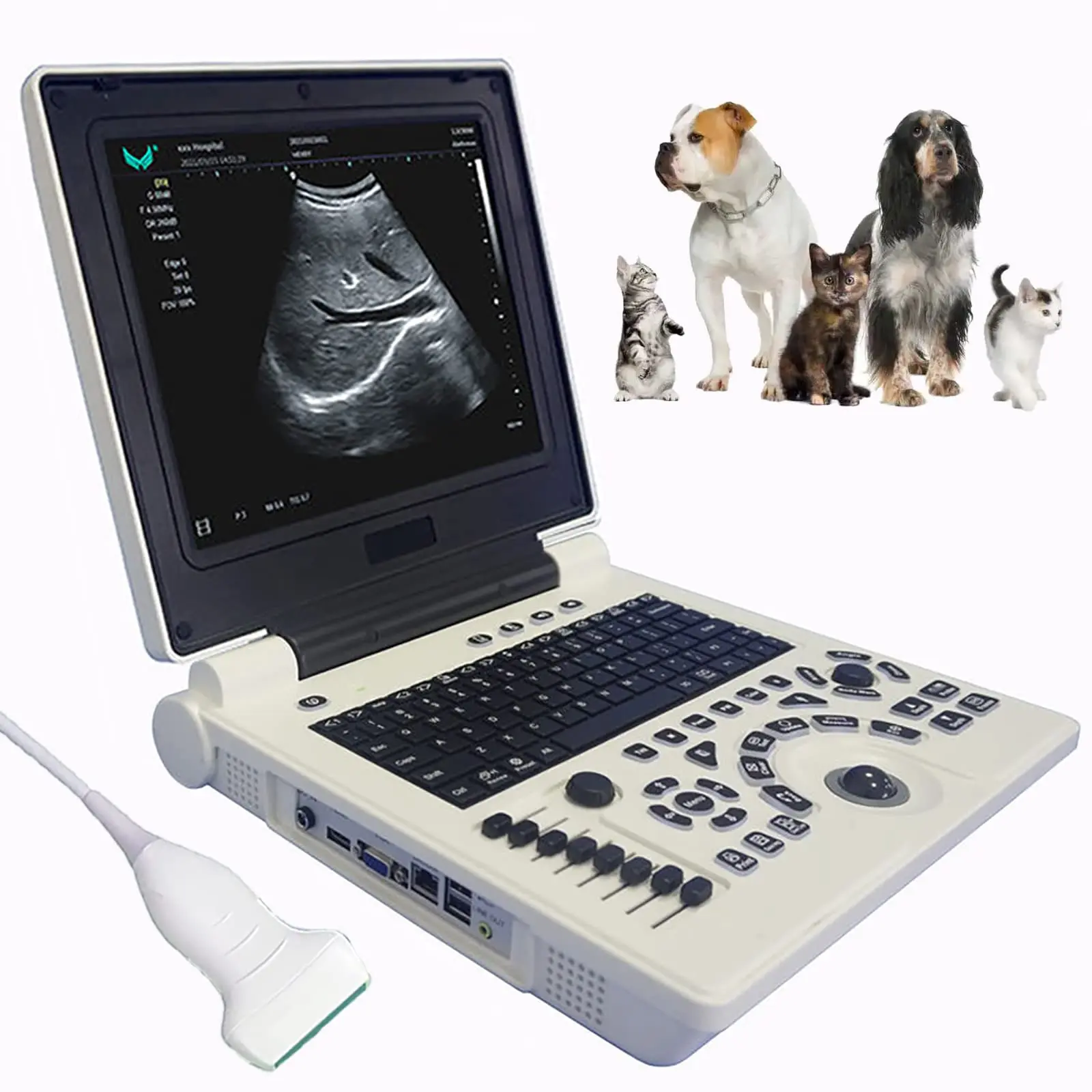 Ultrasound Scanner Veterinary Machine Laptop 12 Inch Portable Black White Doppler Farm Animals Pregnancy Convex Probes, with USB