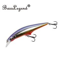 BassLegend Fishing Saltwater Lure G Control Long Cast Sinking Minnow Wire Through Sea Bass Pike Bait 95mm 28g/120mm 41g