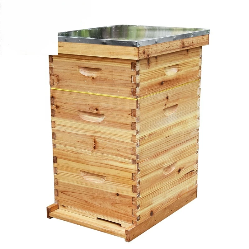 wholesale beekeeping FIR wood Langstroth bee hive national beehive for apiary