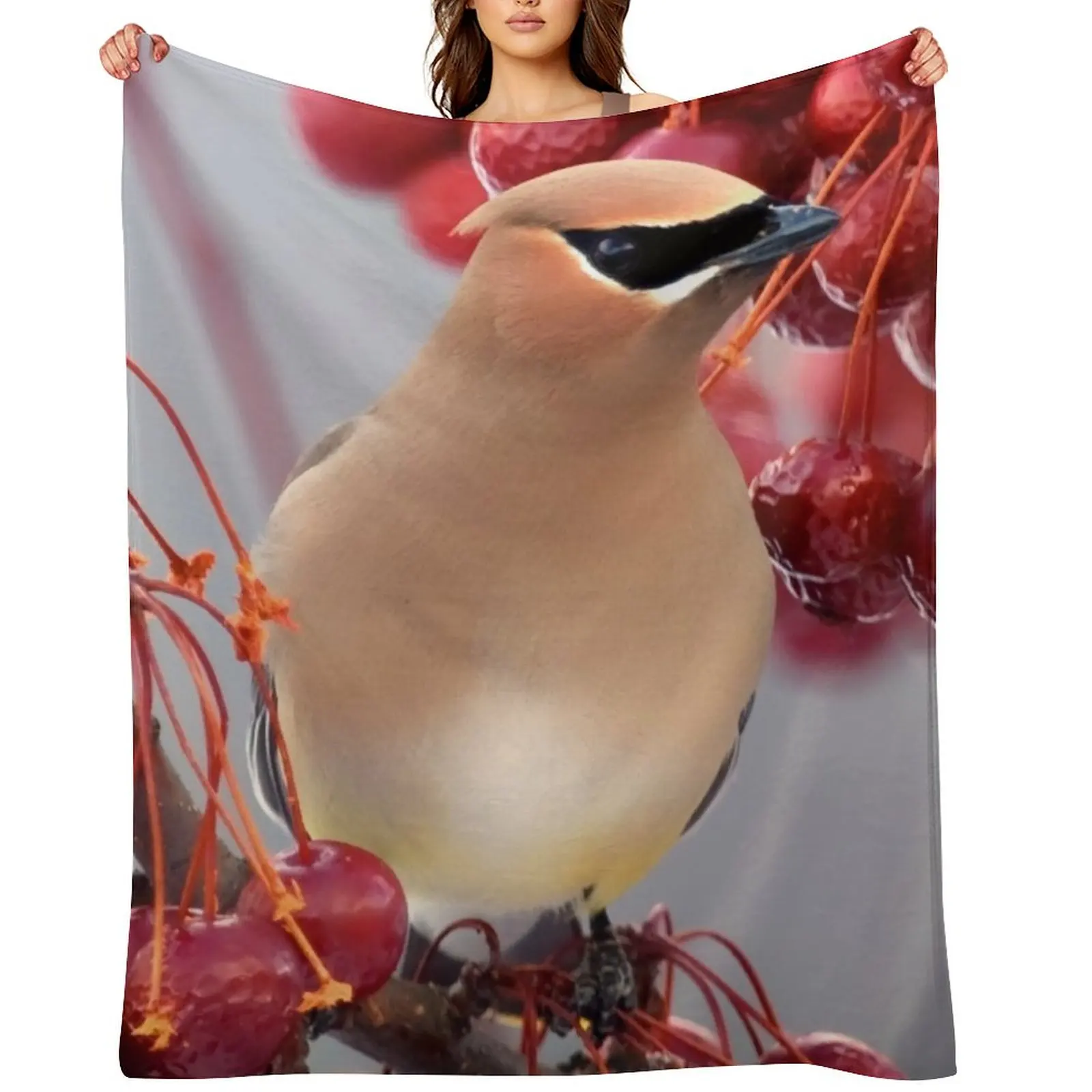 

Second Cedar Waxwing Throw Blanket Plaid on the sofa Multi-Purpose warm winter Bed Blankets