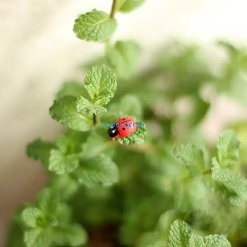 

E15D 10Pcs Mini Ladybird Red for Doll House Garden Decor Ornament