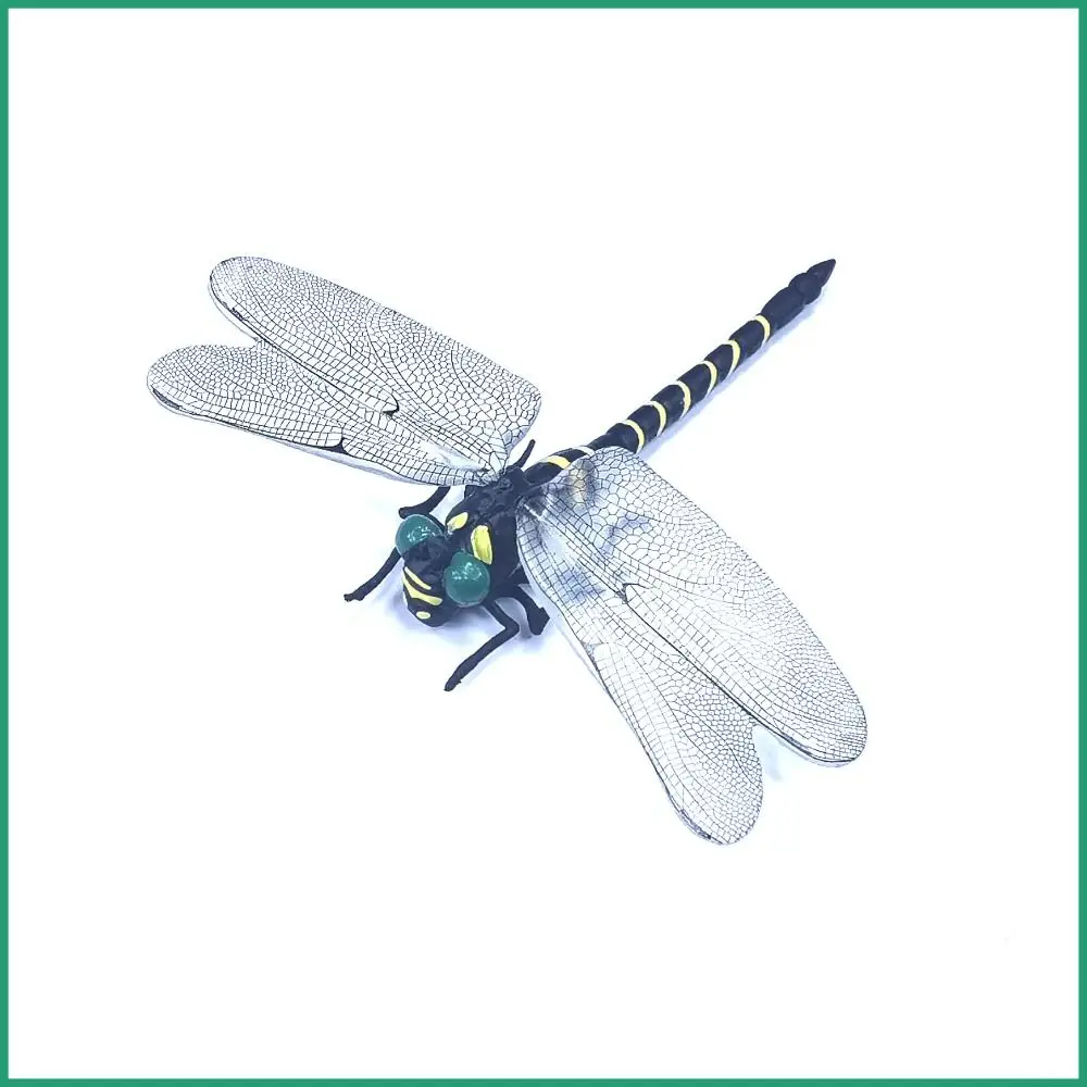 Hobbies PVC Simulation Dragonfly Wing Length 12CM Black Insect Model Dragonfly Insect Model Outdoor