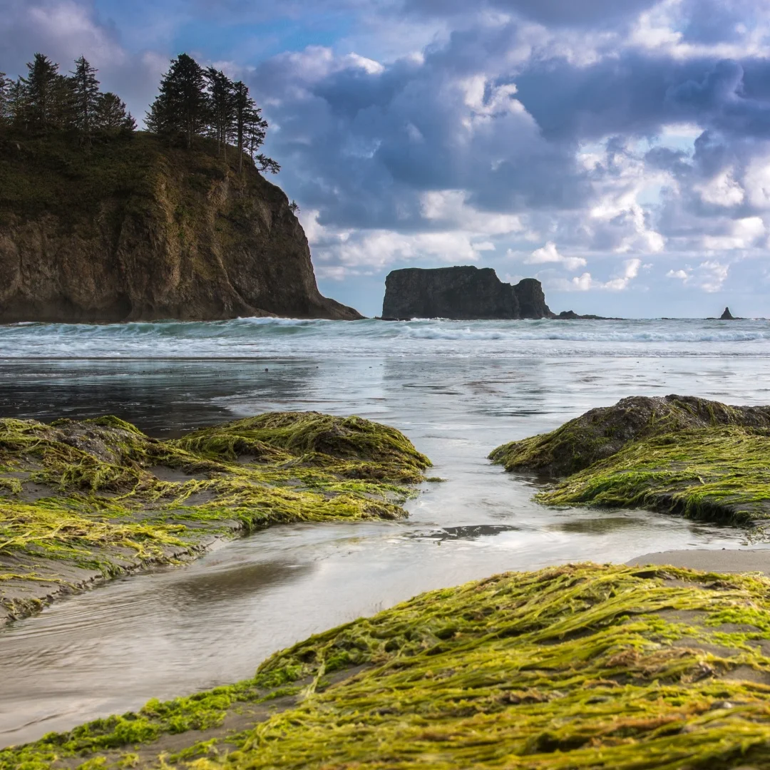 

12.3" Android For Dodge Challenger 2010-2023 Multimedia Video Player Touch Screen Head unit Car Radio Stereo DSP Radio CarPlay