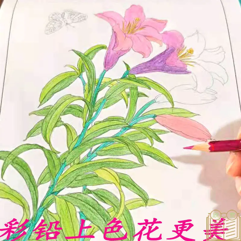 Basic Introduction To Children'S Art By Coloring And Copying The Sketches Of Traditional Chinese Painting