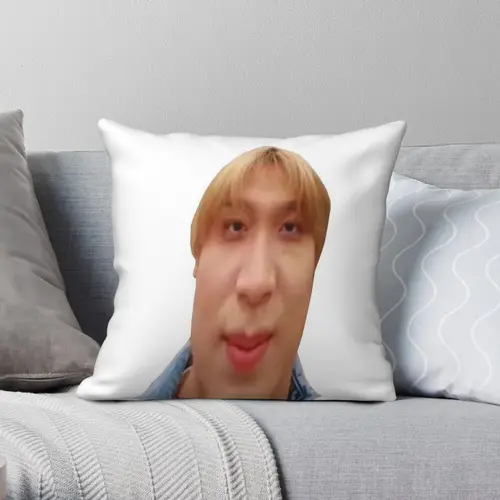 해찬 밈 베개 커버, 폴리에스터 린넨 벨벳 패턴, 지퍼 장식 자동차 쿠션 커버 