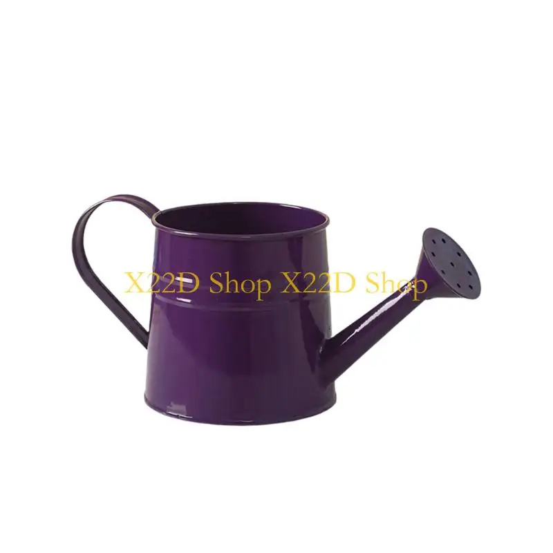 X22D Long neck metal watering can for balcony pots and indoor flowers