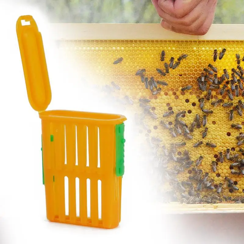 5Pcs Queen Bee Post Cage Beekeeping Queen Cages Move Transmit Grid Box Bee Marking Cage Beekeeping Tools Queens Shipping Box