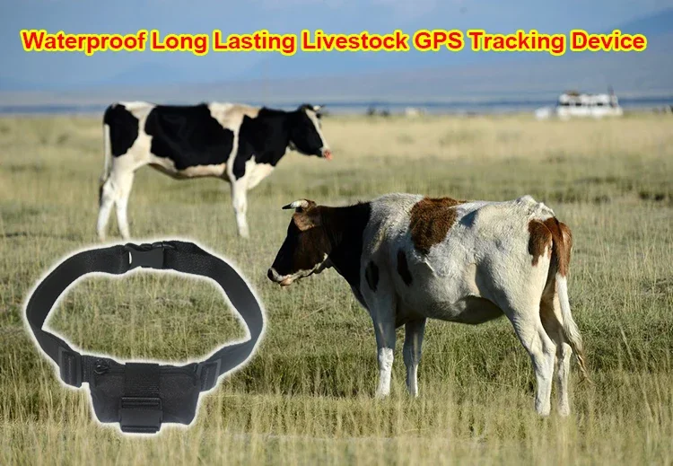 Waterproof GPS Tracker G21 6000mAh Long Standby Anti-lost For Cow Cattle Horse Sheep Camel Animals Livestock Tracking Locater