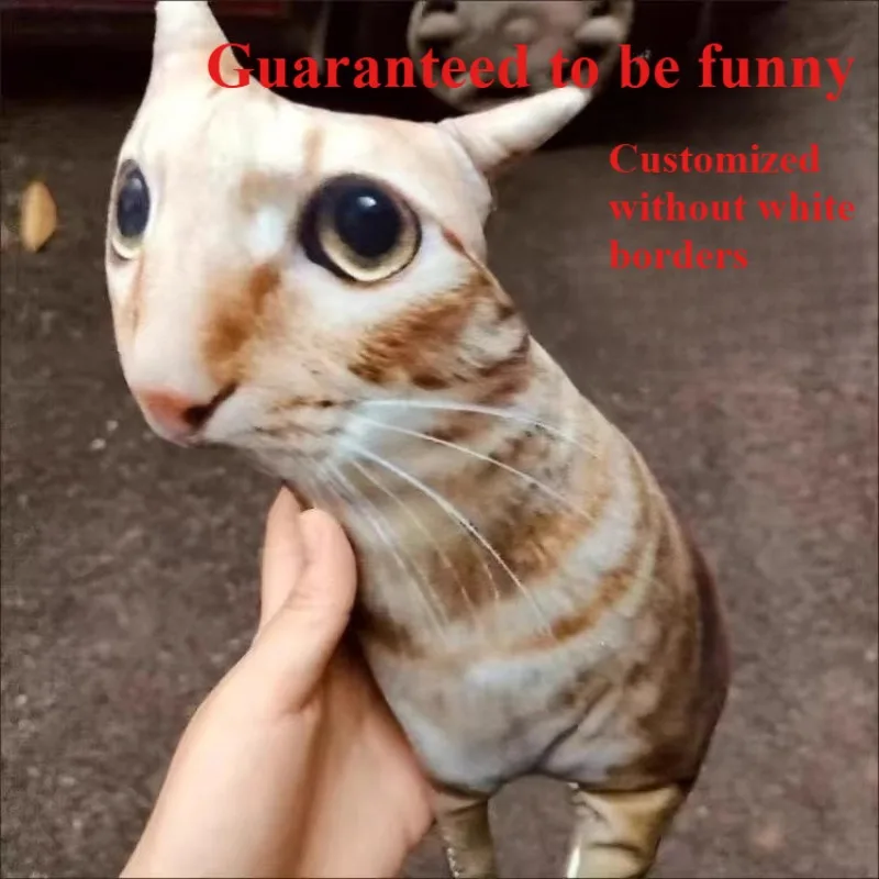 

Custom Ugly Cat Shaped Pillow Personalized Photo Printed Pet Pillow No White Border Waist Support Gift for Dog Cat Owners Home