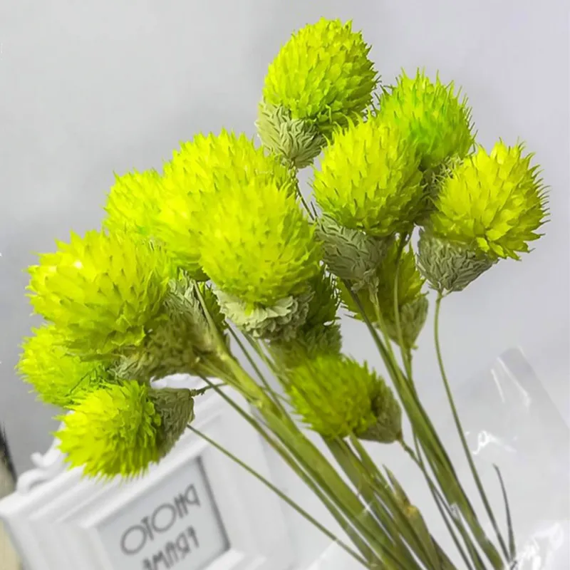 10pcs/set Strawberry Ball Dried Flowers High Quality Flore Plant aquatic Nordic Furniture For Cafe Soft Wedding Party Decotion