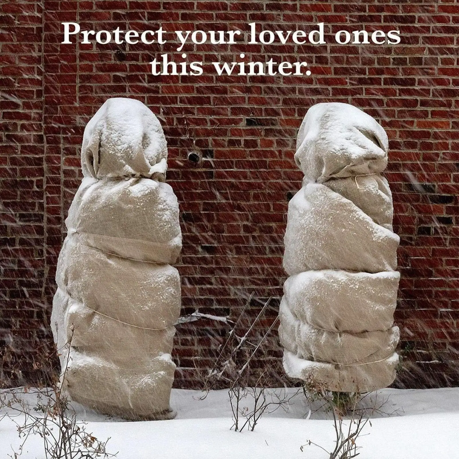 

Burlap Sack Thick Reusable Storage Reusable Natural Sack Race Bags for Outdoor Farm Greenhouse Yard Tree-Care Climate-Protection