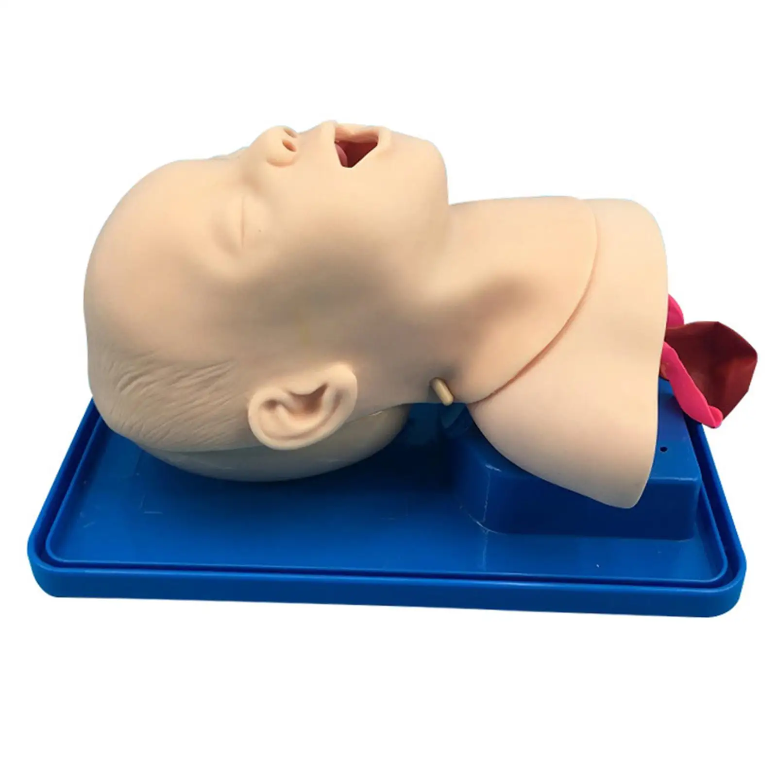 

Pediatric Intubation Manikin Durable Infant Intubation Trainer for First Aid Simulation Training Study Practice Nursery Students