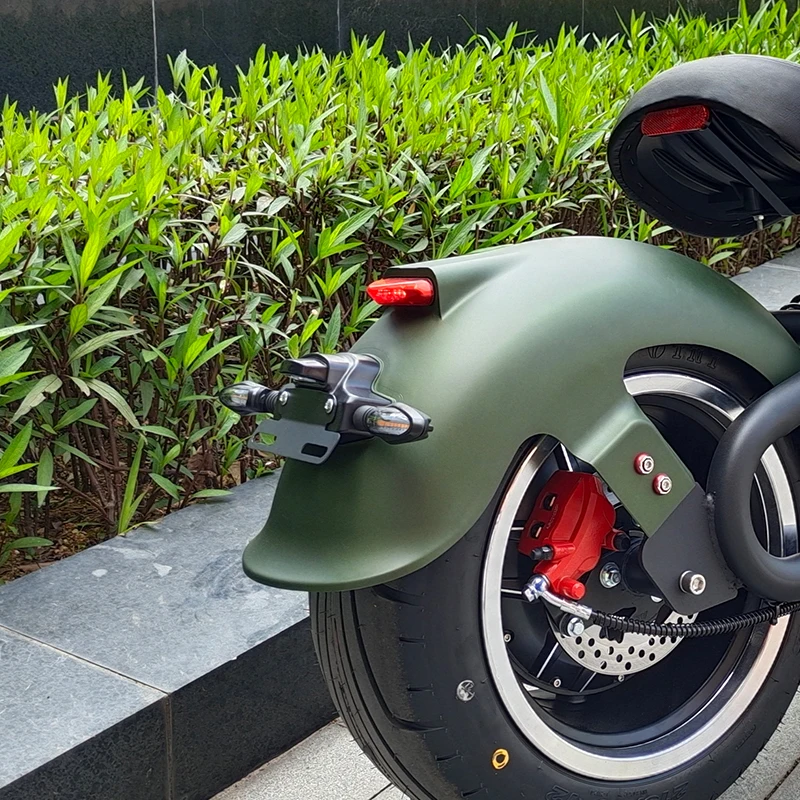 M1P M1 License Plat… - image