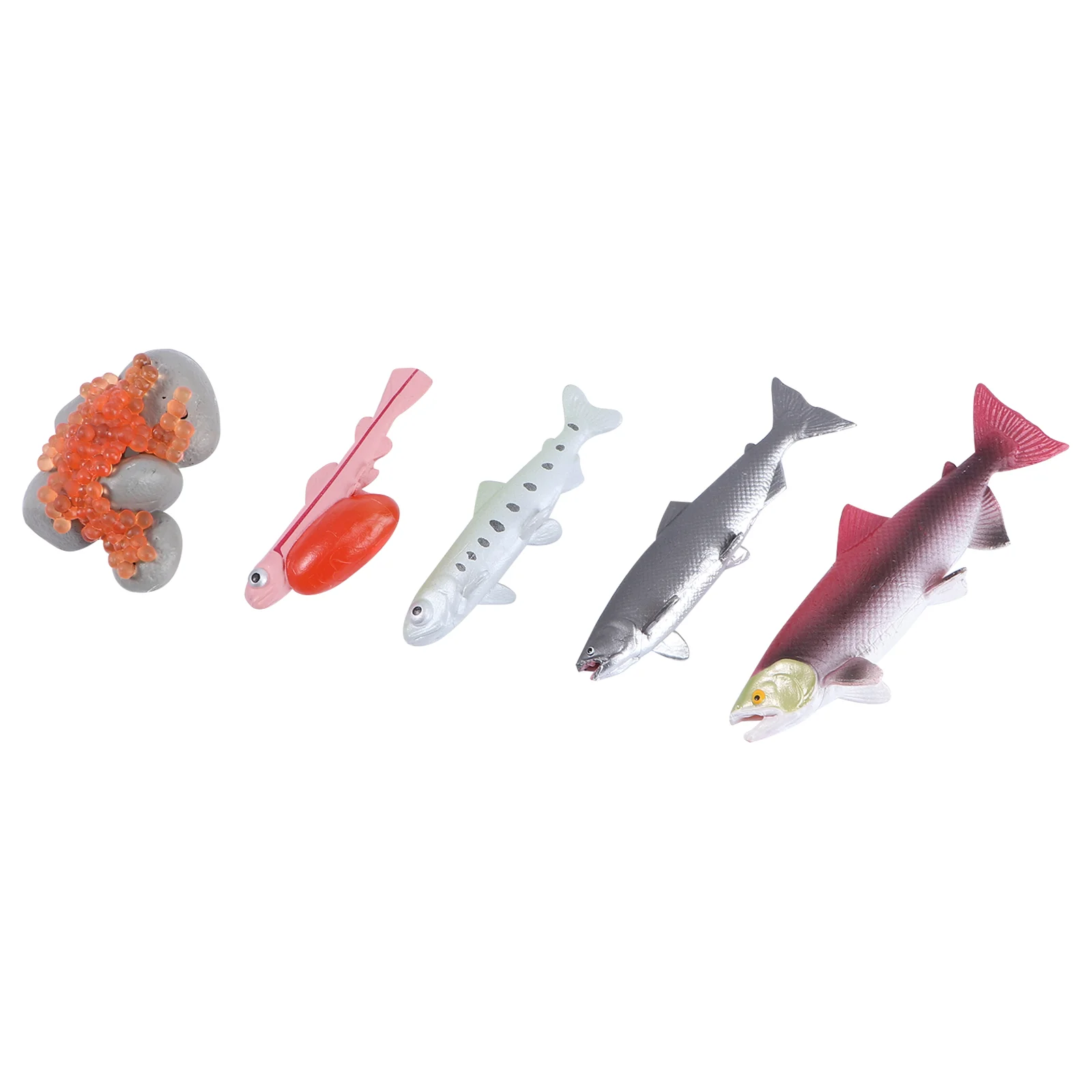 

4 Pcs Auxiliary Tool Growth Cycle Model Child Kids Toys Life Kit Abs Bonsai Figurine Fish Process