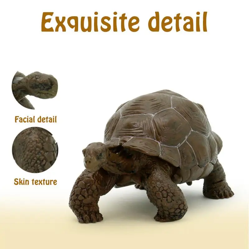 Modèle de tortue angitortue Nimal pour enfants, tortue Galapagos, figurine animale, jouet de collection, cadeau de Noël, pouces