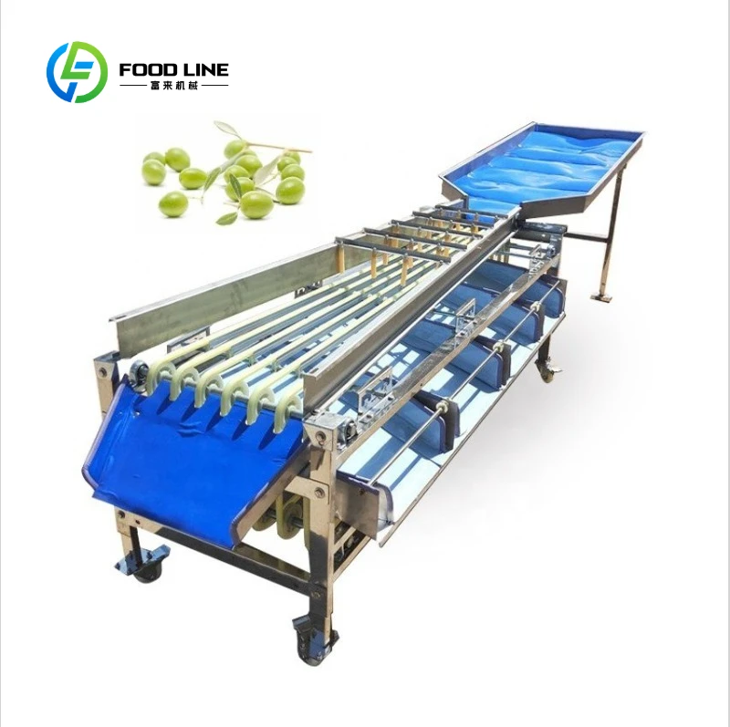 Wide Usage Fruit Size Sorter Date Cherry Grading Fruit Sorting Machine