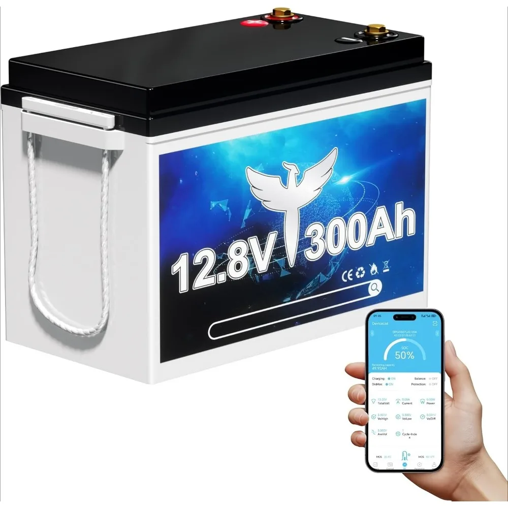 

12V Lithium LiFePO4 Battery, BMS Rechargeable Lithium Iron Phosphate Battery, Up to 15000 Cycles,Higher Energy Density