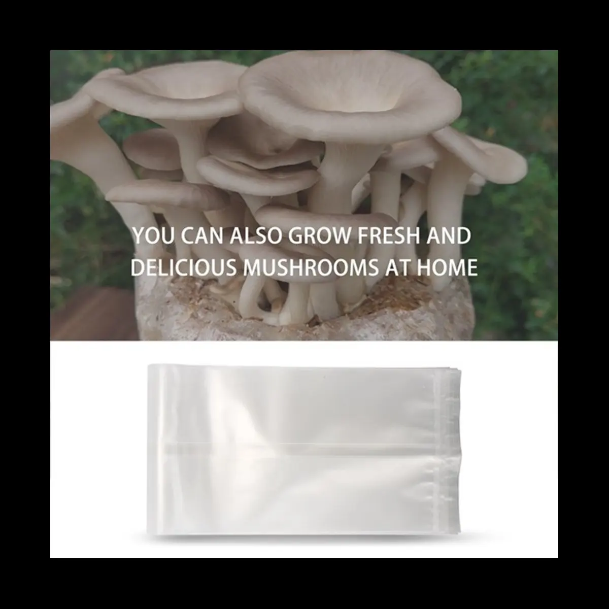 A78I 50 Count Mushroom Bags/Mushroom Growing Bags/Farm-Mushroom Spawn 0.2 Filter,2.5 Polypropylene