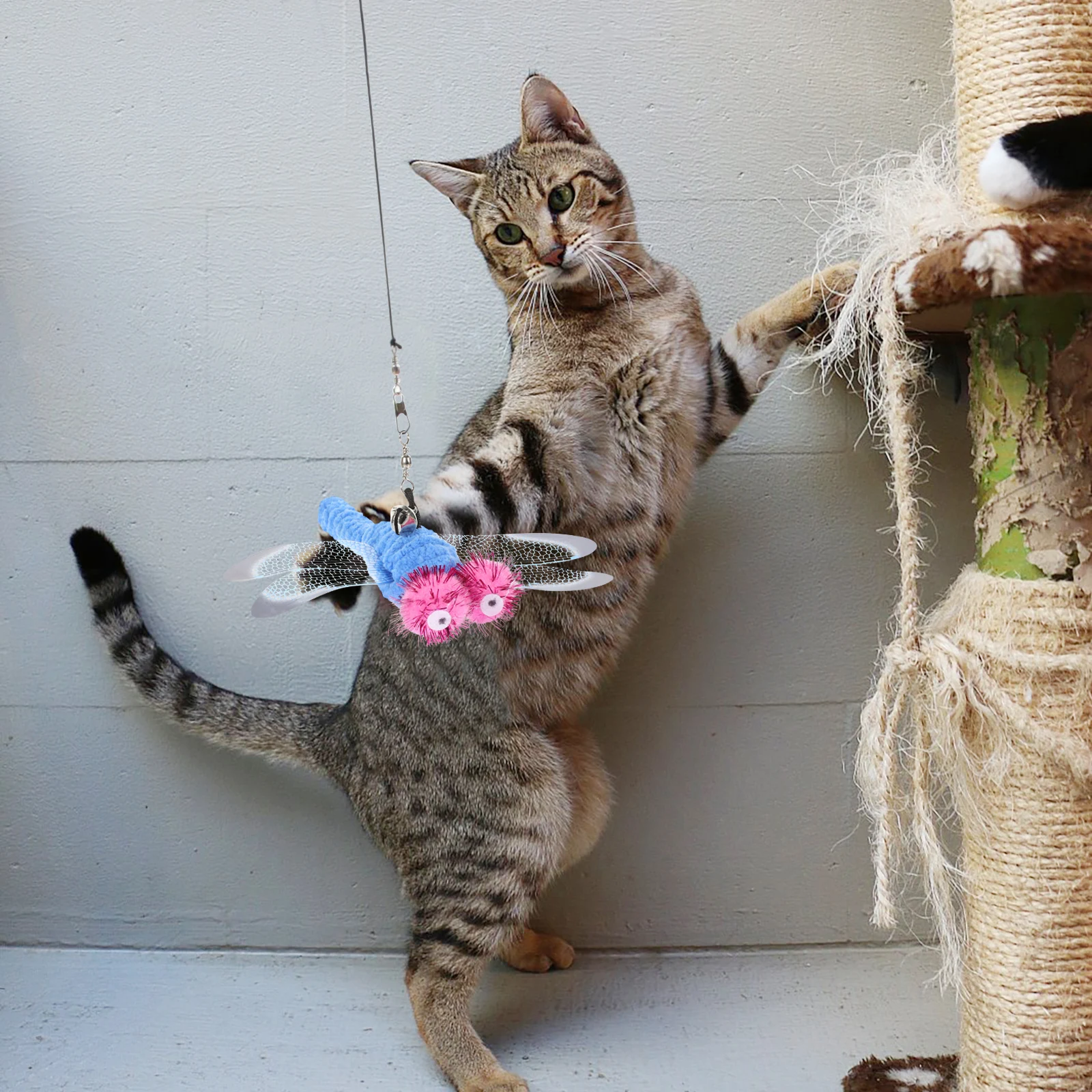 

5 Pcs Cat Dangle Toy Replacement Dragonfly Shaped Eco Friendly Pet Toys Refill Accessories Cat Teaser Wand