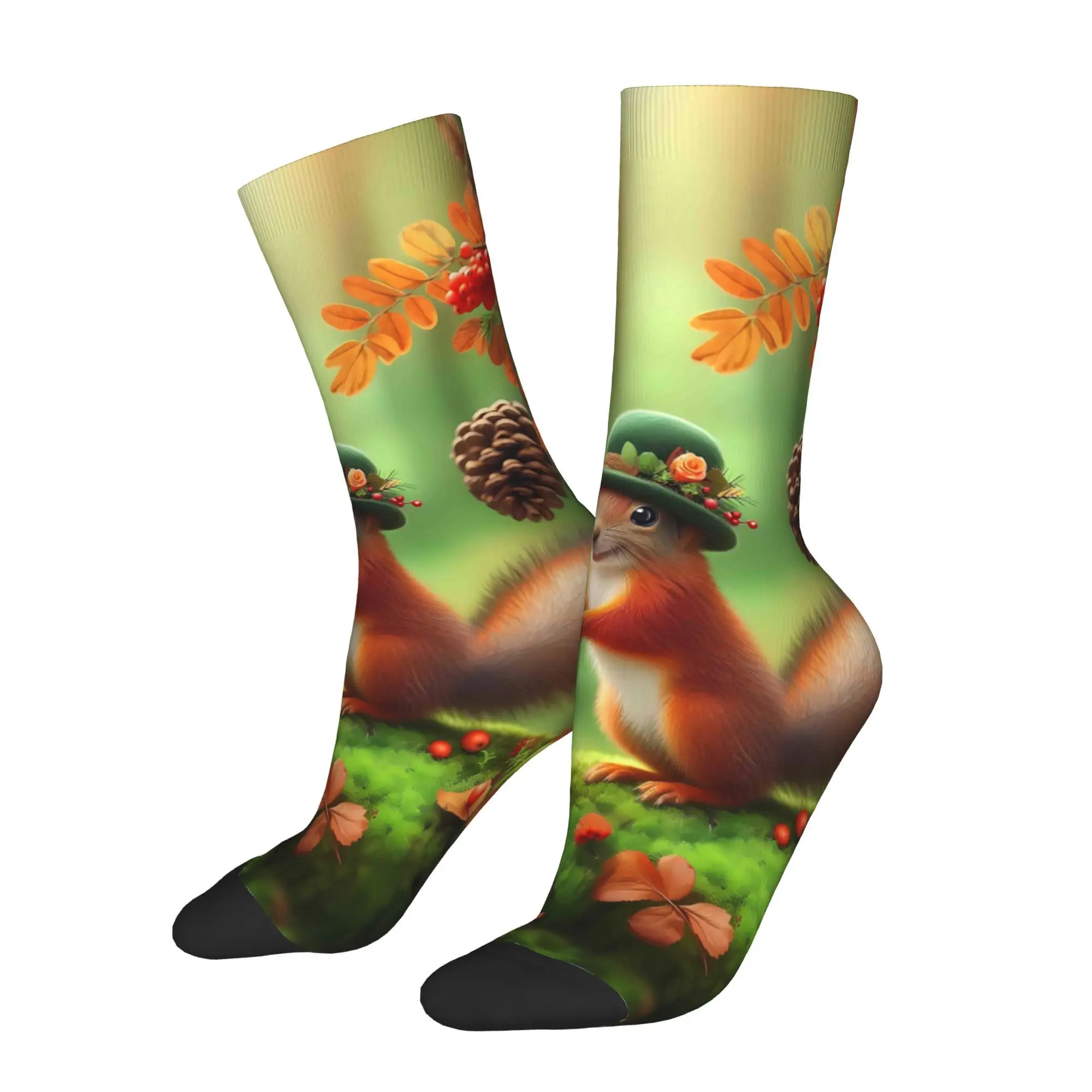

Носки «Белка в дереве», мужские и женские осенние чулки из полиэстера
