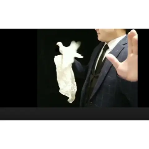 Electronic Bionic Dove 2.0 Magic Tricks Classic Dove Magia Props Stage Illusions Gimmicks Professional Magician Props