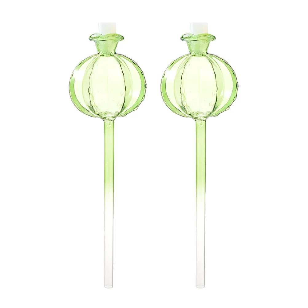 2 قطعة لمبة زجاجية على شكل صبار لطيف على شكل زهرة أوتوماتيكية للنباتات الداخلية لمبة نباتية ذاتية النظام