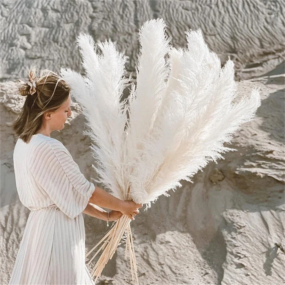 80-120cm Pampas Grass Large Tall XXL Fluffy Pampas Dried Flowers Boho Decor Plant for Vase Home Wedding Decor Flower Arrangement view 5