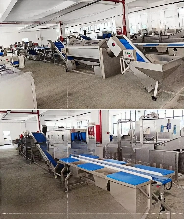 Fruit and vegetable cleaning Green leafy vegetables and rhizomes, vegetable cleaning line Whole production line