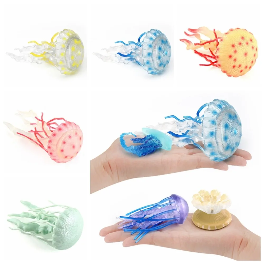 Ocean Animals Model meduse Starfish Sea Anemone Coral Action Figures acquario PVC Miniature Educational Kids Toy Gift