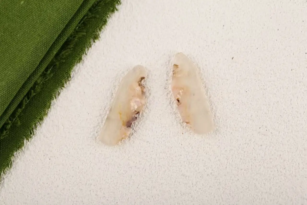 White Crazy Lace Rosetta Stone Carved Earring Bead——Handmade Natural Jewelry  Ear Ornaments  41x12x2mm 7.9g