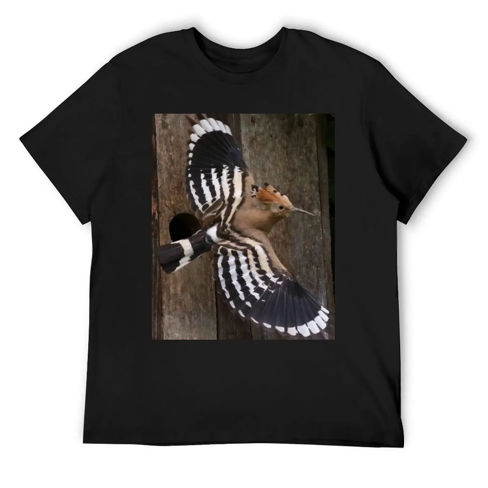 Hoopoe In Feuersbrunn, Lower Austria T-Shirt shirts graphic oversized t shirt Men's t shirts