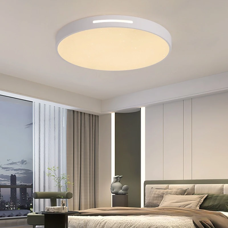 Creative Starry Sky Ceiling Lamp for Living Room Children's Room Customized Full Spectrum Eye Protection Bedroom Lighting Led