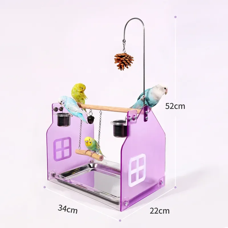 Parrot Bird Stand Perch Small Medium Feeding Drinking Water Washable Tray Wrought Iron Stainless Steel Compact