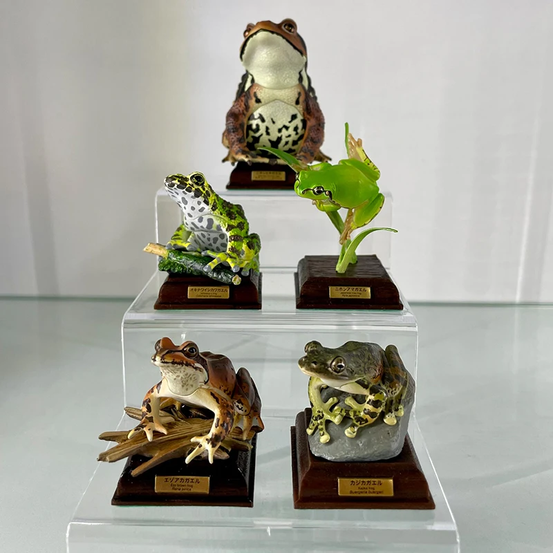 Genuino Ikimon Amphibian Toad Edición Especial Gashapon - Amphibian Verde, Platycodon Amphibian, Sailfish Amphibian Pantalla 3D