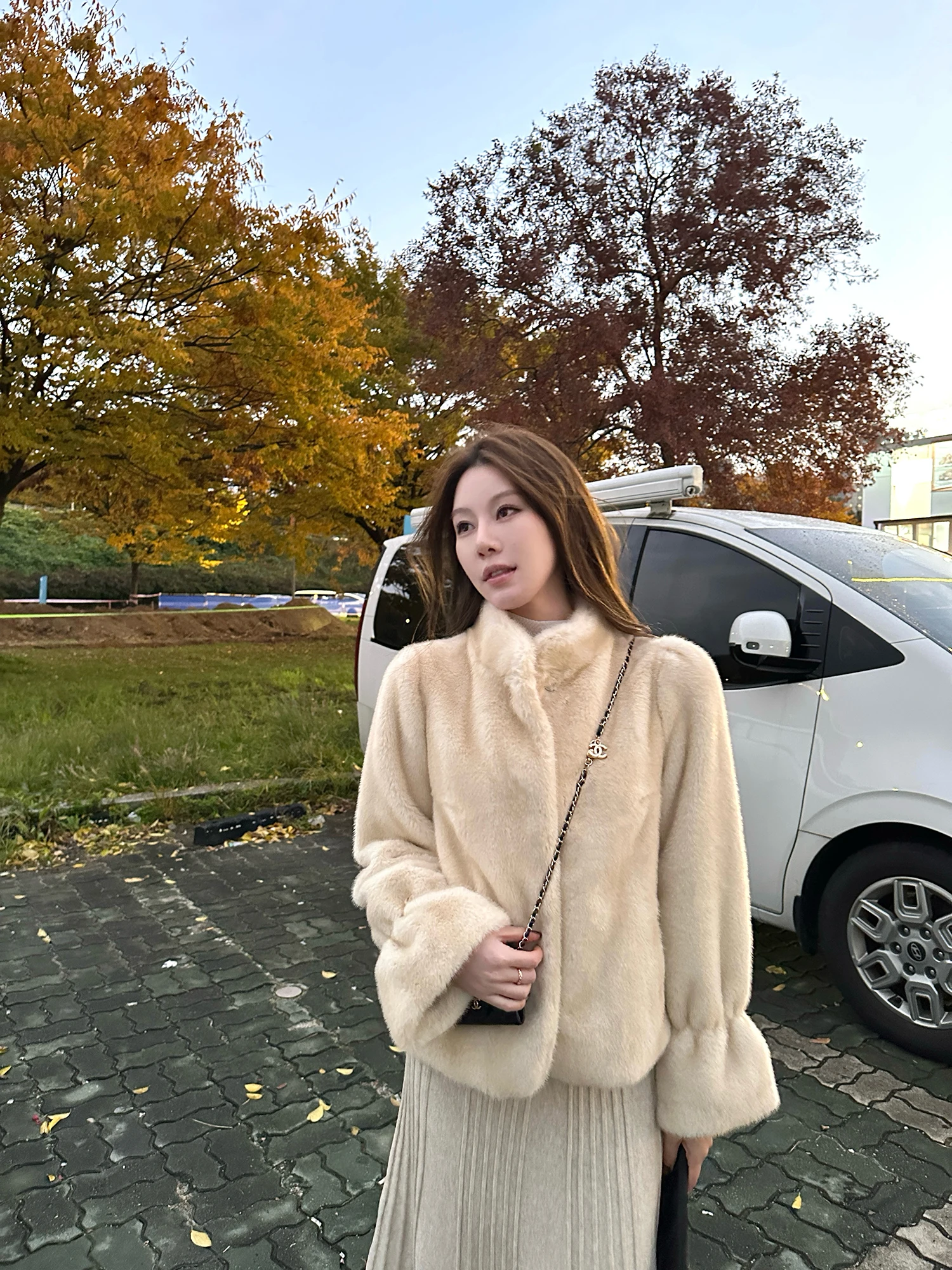 

Dibao Xi ort Sle Fur Coat Women's Stand Collar ort Length Outerwear Casual Leisure Polyester Fiber Thiened Winter...