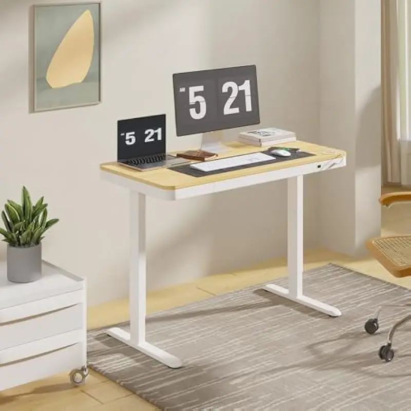 Electric Height Adjustable Desk 48 Inch with Pull Out Drawers USB Charging Ports Child Safety Lock Smooth Quiet Motor Lift Range