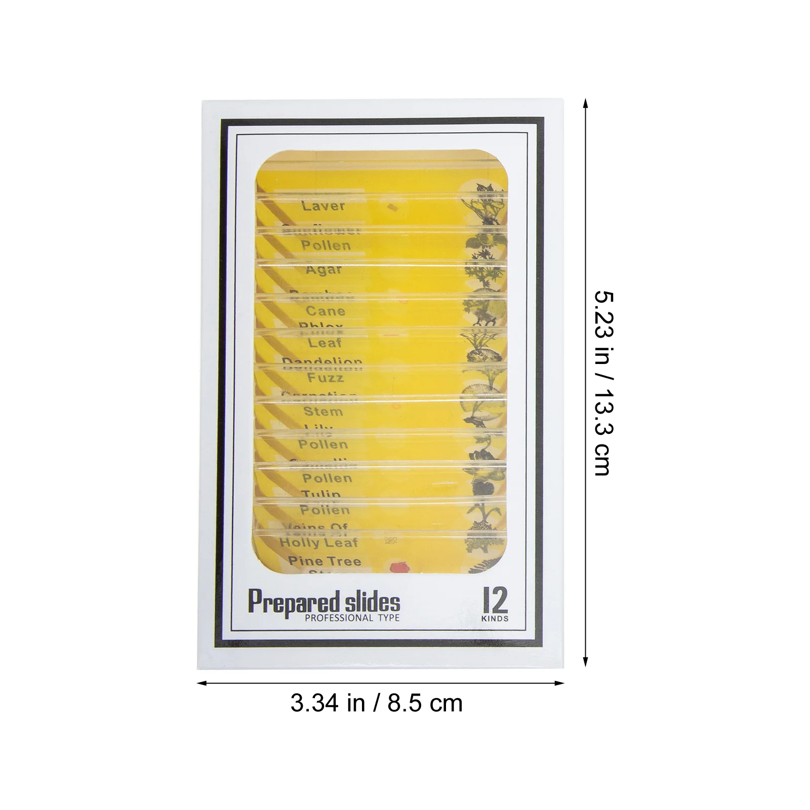 Portaobjetos para microscopio preparados, muestra biológica transparente, fácil de observa, etiquetas de plástico ABS para escuela en casa, 10 Uds.