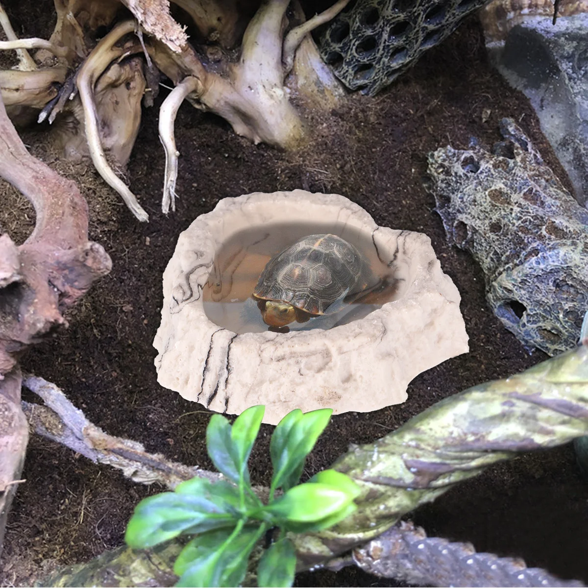 

1Pcs Resin Bark Texture Pets Feeding Plate Stable Reptile Feeding Bowl Vivarium Food Water Dish Breeding Tray for Turtle Gecko