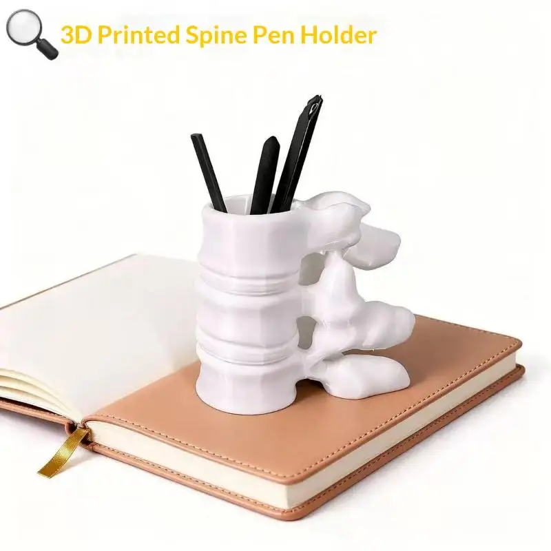 3D Printed Creative Spine Shaped Pen Holder Sturdy Base 1Pcs Quirky Desk Decor for Anatomy Lovers Office Workstation