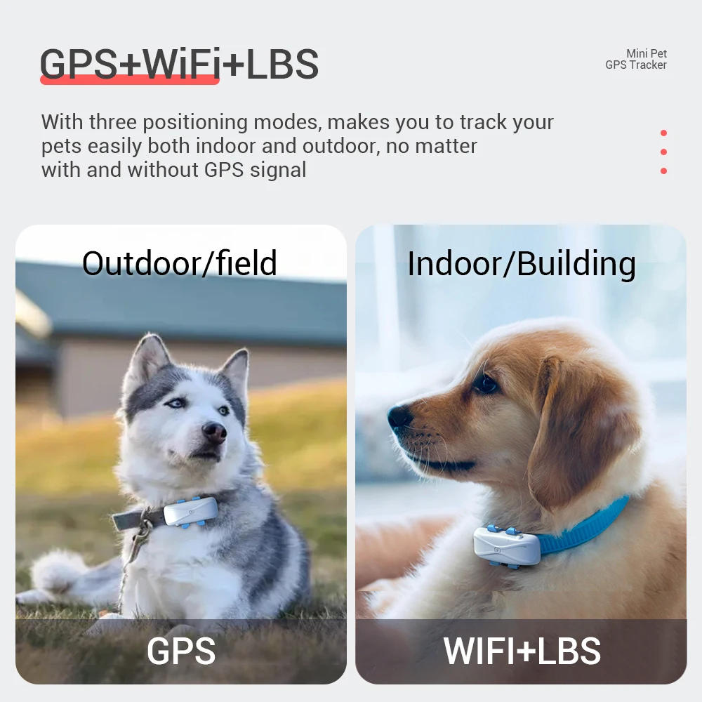 4G Pet GPS Tracker Collar MiCODUS MP80G Waterproof Geofence Mini Cat Dogs Gps Tracking Device Realtime Locate With Lights Beep