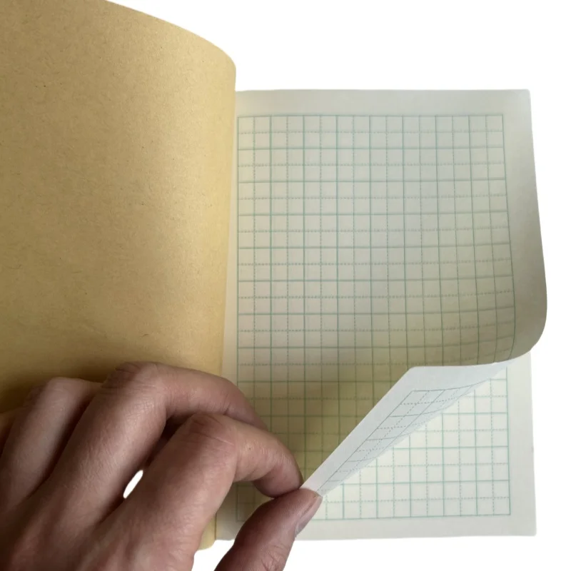 10 pezzi/lottp piccolo carattere cinese quaderno di esercizio PinYin pratica scrittura calligrafia quaderno TianZi cancelleria libro DEO
